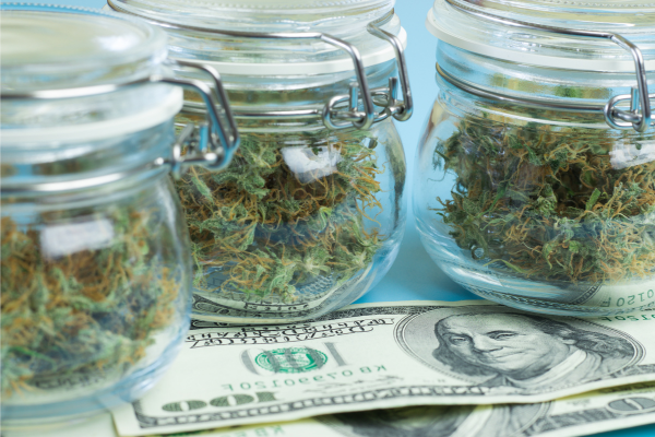 Cannabis in jars with money on table